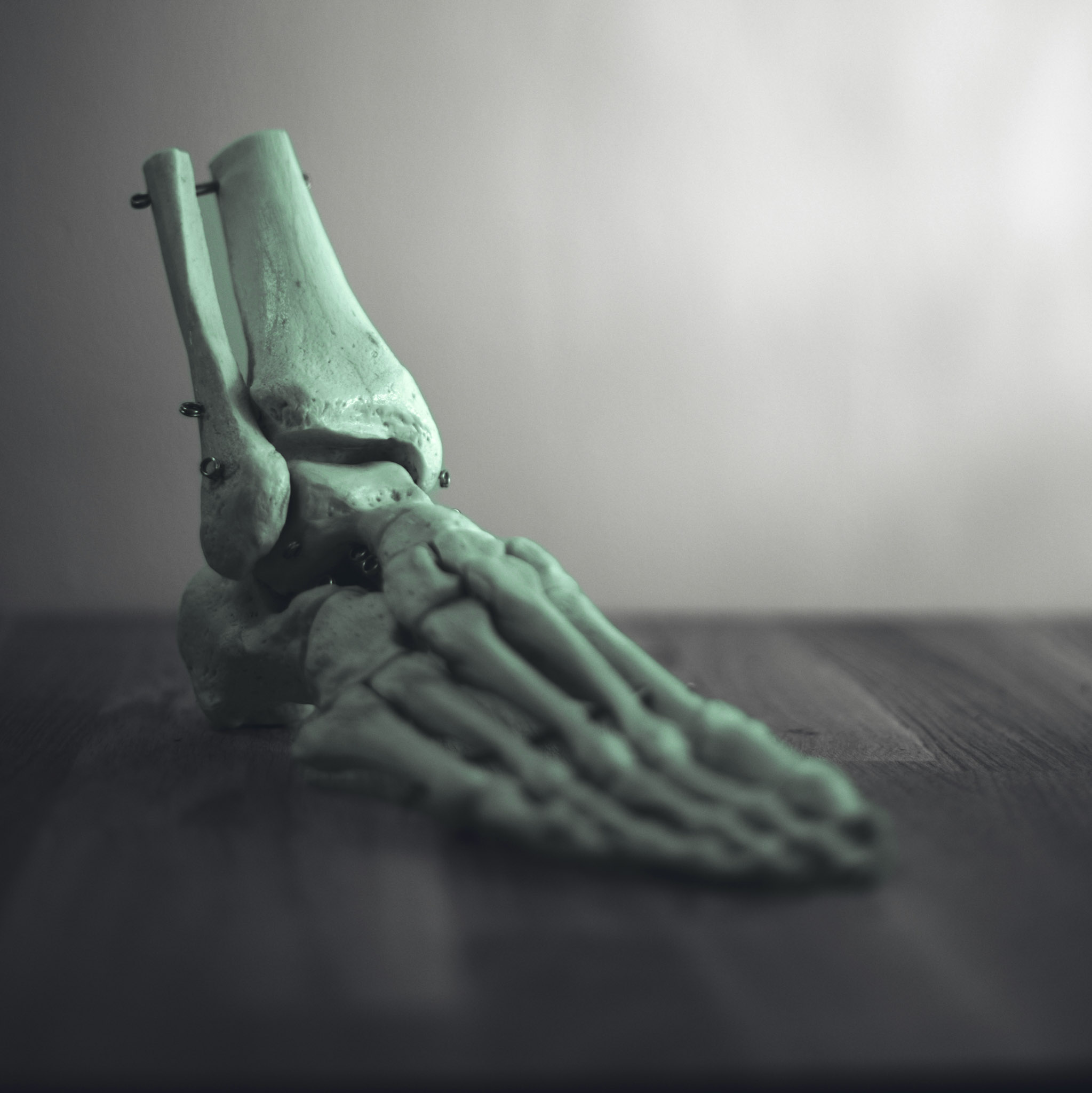 1-otto-norin-FAdw0aRMXp4-unsplash