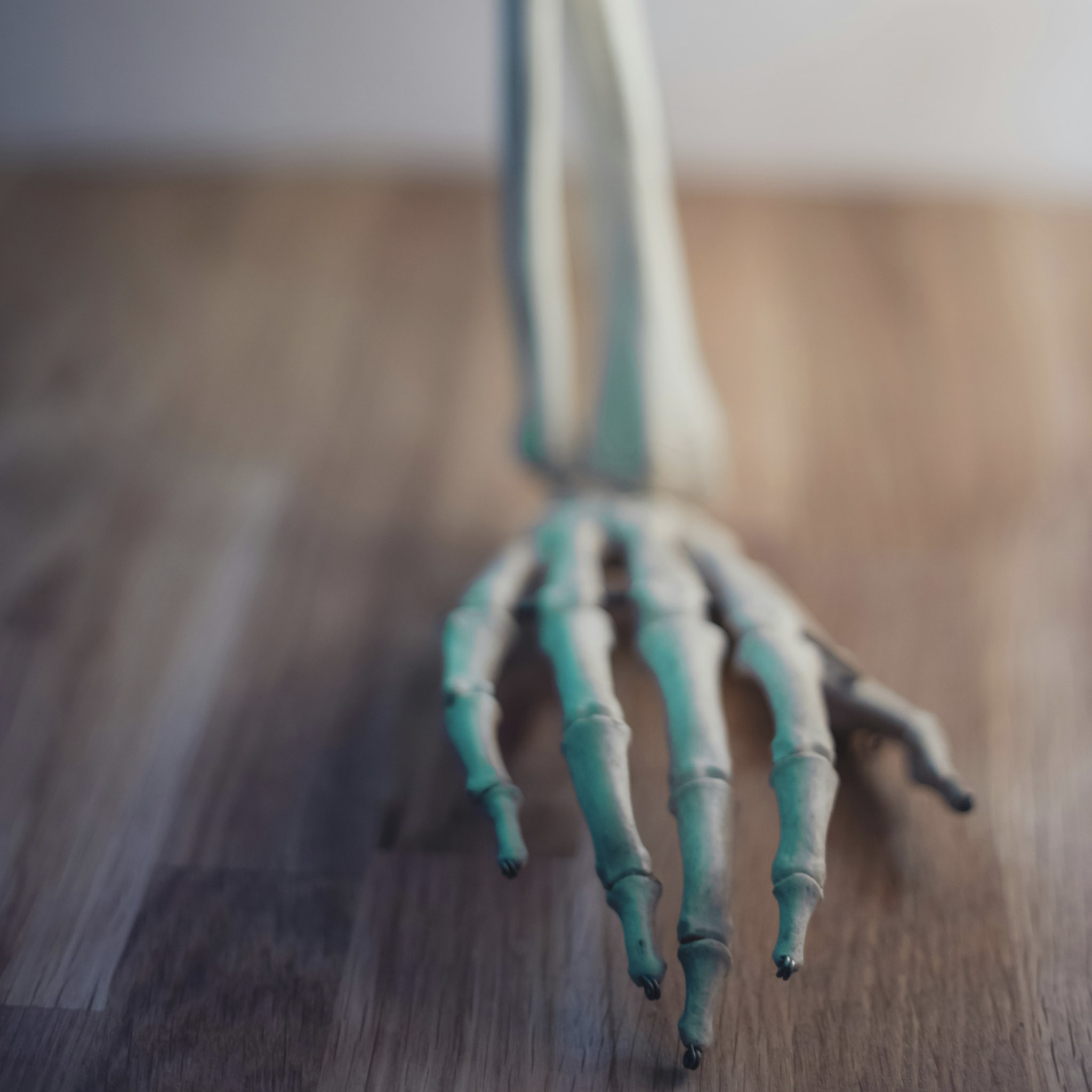 2-otto-norin-D6s-JjIHdxo-unsplash